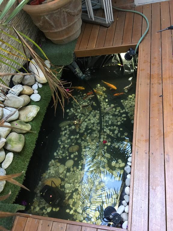 Gordons Guesthouse Kapsztad Zewnętrze zdjęcie